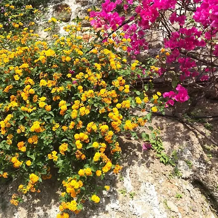 Villa-gaby Entiere Et Piscine Вилла Ментона