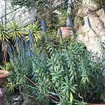 Villa-gaby Entière Et Piscine *