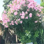 Villa-gaby Entière Et Piscine Villa