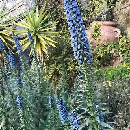 Villa-gaby Entiere Et Piscine * Menton
