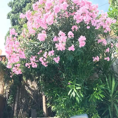 Villa-gaby Entière Et Piscine *