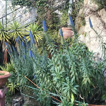 Villa-gaby Entière Et Piscine *