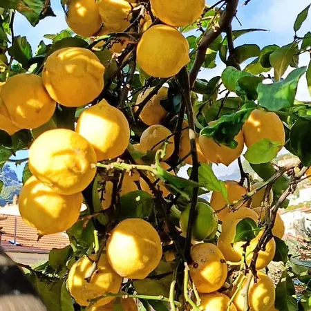 Villa-gaby Entière Et Piscine Villa