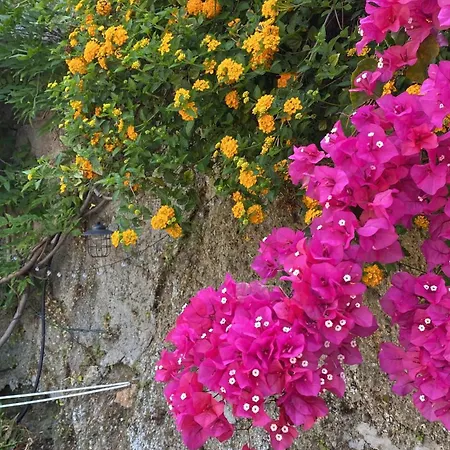 Villa-gaby Entière Et Piscine * Menton