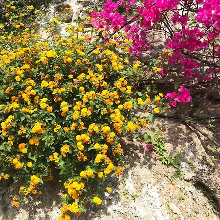 Villa-gaby Entière Et Piscine *