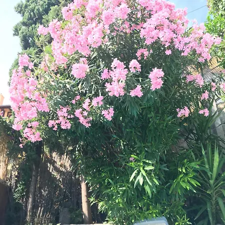 Villa-gaby Entière Et Piscine Villa