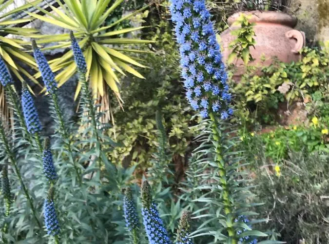 Villa-gaby Entiere Et Piscine * Menton
