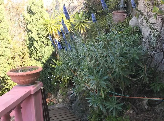 Villa-gaby Entiere Et Piscine Menton