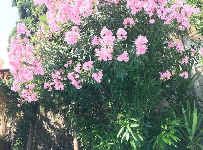 Villa-gaby Entiere Et Piscine *