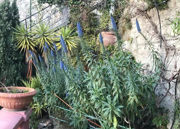 Villa-gaby Entiere Et Piscine *