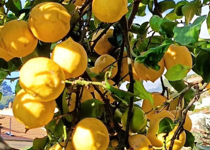 Villa-gaby Entiere Et Piscine Villa