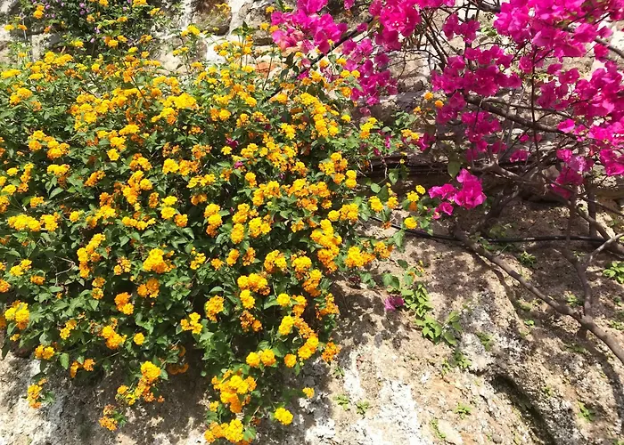 Villa-gaby Entiere Et Piscine Vila Menton