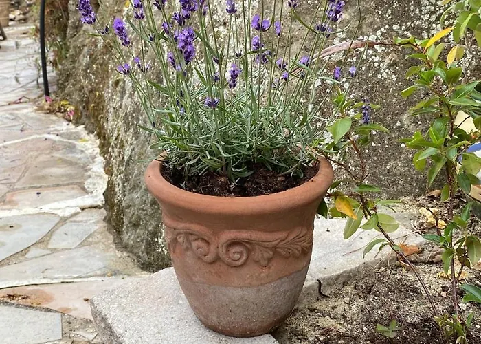 Villa-gaby Entiere Et Piscine Menton