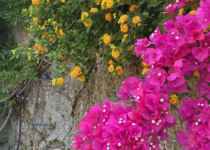 Villa-gaby Entiere Et Piscine * Menton