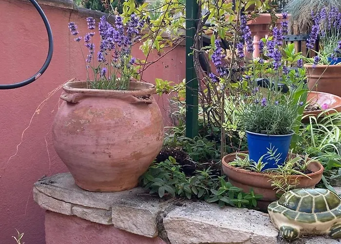 Villa-gaby Entiere Et Piscine Villa Menton