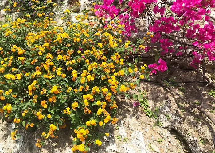 Villa-gaby Entiere Et Piscine *