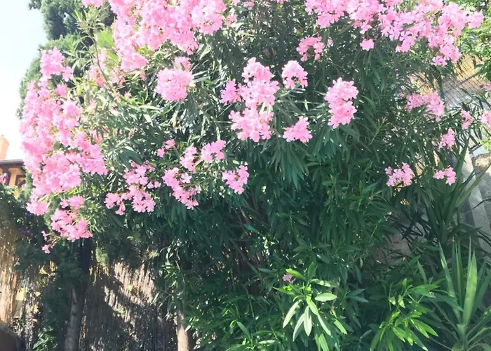 Villa-gaby Entiere Et Piscine Villa